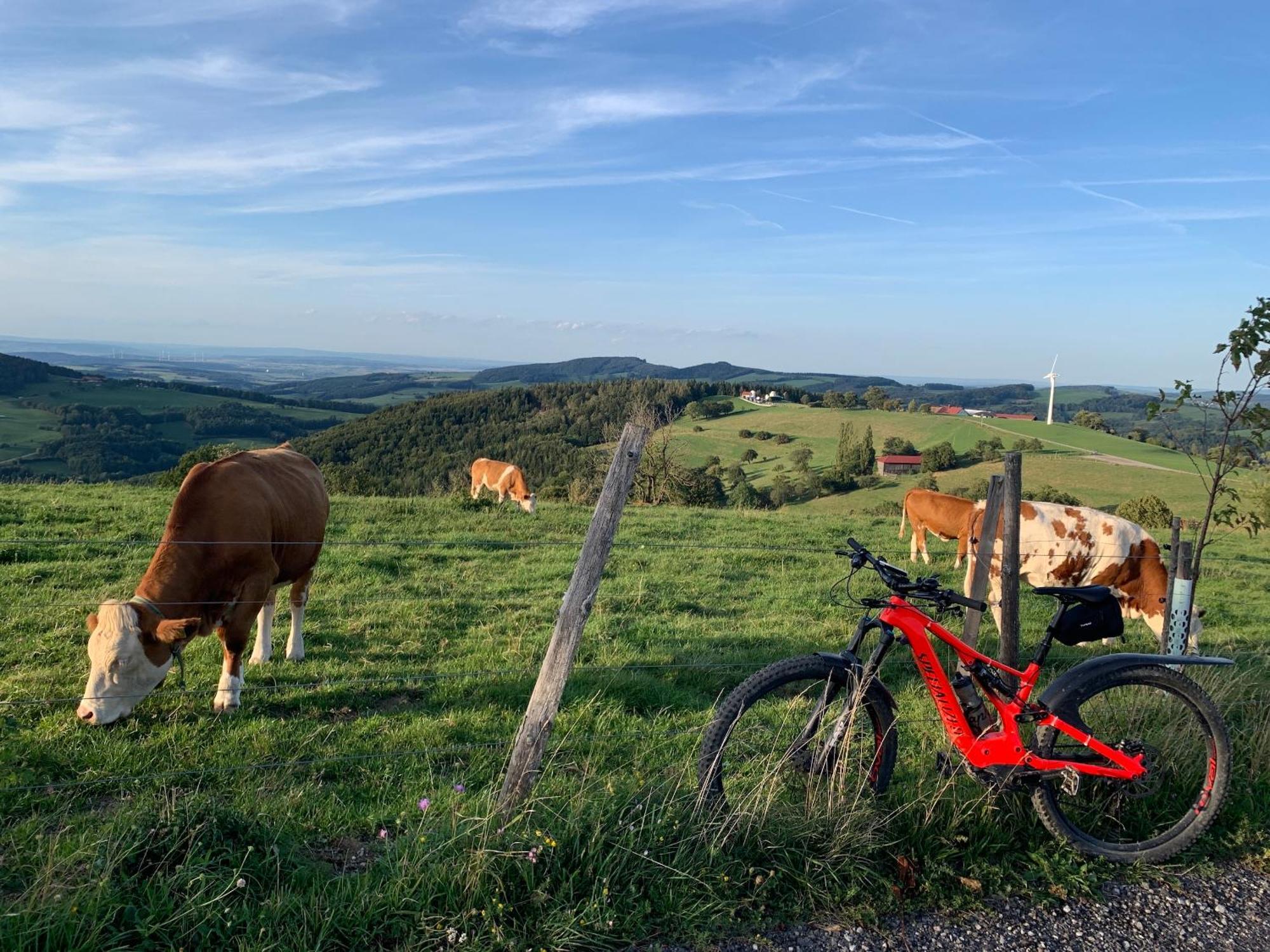 Landgasthof Zur Linde Laaben Екстериор снимка